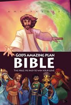 GODS AMAZING PLAN BIBLE