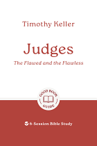 JUDGES: THE FLAWED AND THE FLAWLESS