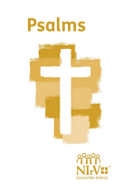 NIRV PSALMS ACCESSIBLE EDITION