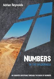 NUMBERS IN THE WILDERNESS