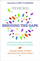 BRIDGING THE GAPS