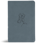 CSB PERSONAL SIZE BIBLE