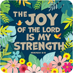 JOY COASTERS  