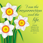 I AM THE RESURRECTION EASTER CARDS PACK OF 5