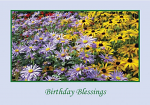 BIRTHDAY BLESSINGS GREETINGS CARD