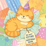 DO NOT DISTURB BIRTHDAY CARD