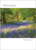 WITH SYMPATHY GREETINGS CARD