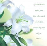 WHITE LILY: ISAIAH 26:3