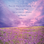 LAVENDER FIELD: PSALM 104:1