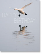 HAPPY BIRTHDAY PETITE CARD