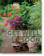 GET WELL PETITE CARD