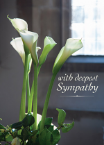 WITH DEEPEST SYMPATHY CARD
