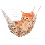 CAT IN HAMMOCK: MARK 6