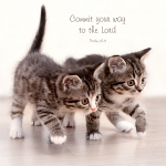 CATS: PSALM 37:5