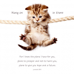 HANGING CAT: HANG ON IN THERE