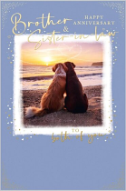 BROTHER AND SISTER IN LAW ANNIVERSARY CARD