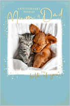 MUM AND DAD ANNIVERSARY CARD