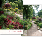 THE ROCK GARDEN NOTELETS PACK OF 10