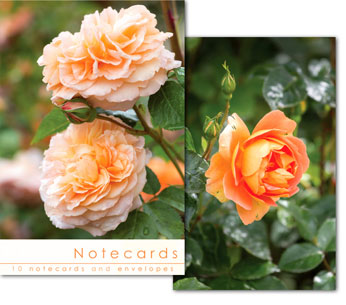 ROSE BLOOMS NOTELETS PACK OF 10