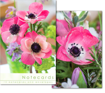 PINK ANEMONE CLOSE UP NOTELETS PACK OF 10