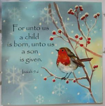 ROBIN IN THE SNOW PACK OF 5 CHRISTMAS CARDS