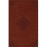 ESV LARGE PRINT VALUE THINLINE BIBLE