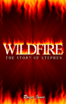 WILDFIRE CD