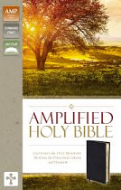 AMPLIFIED BIBLE
