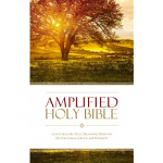 AMPLIFIED BIBLE