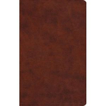 ESV LARGE PRINT VALUE THINLINE BIBLE