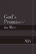 GOD'S PROMISES FOR MEN NIV GREY